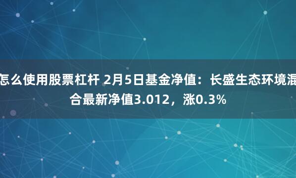 怎么使用股票杠杆 2月5日基金净值：长盛生态环境混合最新净值3.012，涨0.3%
