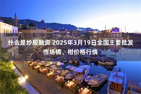 什么是炒股融资 2025年3月19日全国主要批发市场橘、柑价格行情