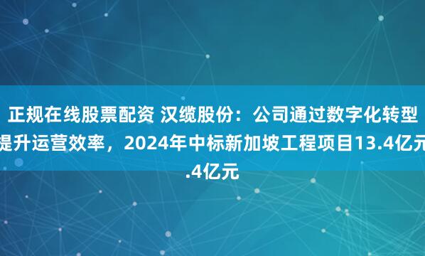 正规在线股票配资 汉缆股份：公司通过数字化转型提升运营效率，2024年中标新加坡工程项目13.4亿元