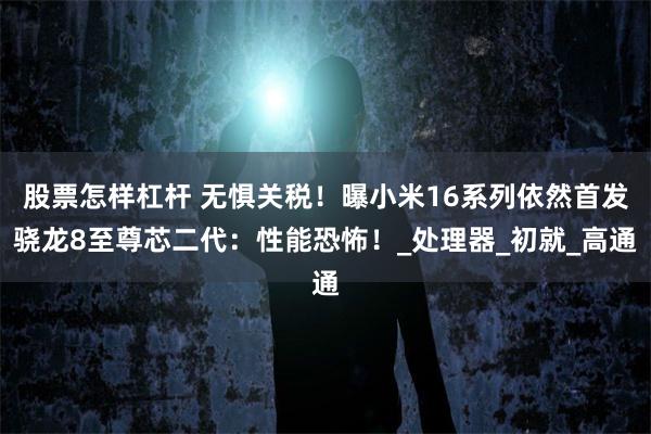 股票怎样杠杆 无惧关税！曝小米16系列依然首发骁龙8至尊芯二代：性能恐怖！_处理器_初就_高通
