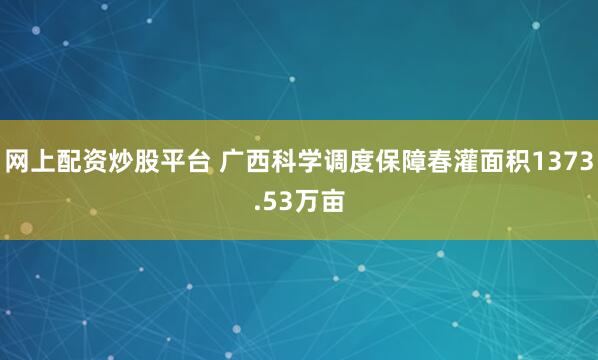 网上配资炒股平台 广西科学调度保障春灌面积1373.53万亩
