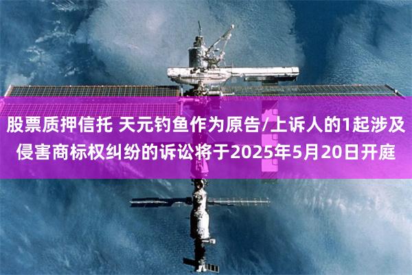 股票质押信托 天元钓鱼作为原告/上诉人的1起涉及侵害商标权纠纷的诉讼将于2025年5月20日开庭