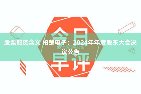 股票配资含义 柏楚电子：2024年年度股东大会决议公告