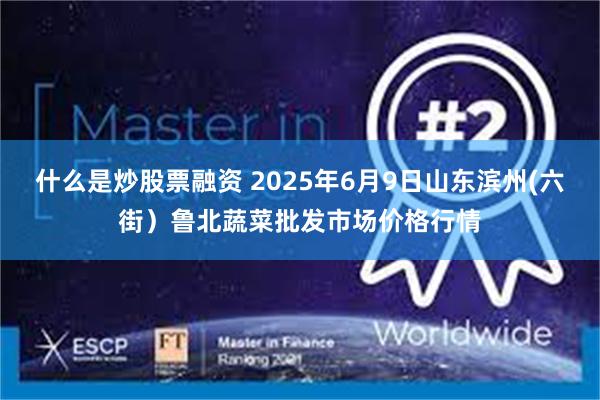 什么是炒股票融资 2025年6月9日山东滨州(六街)鲁北蔬菜批发市场价格行情