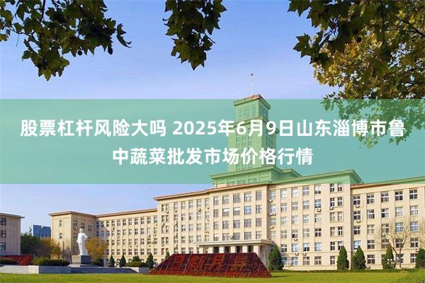 股票杠杆风险大吗 2025年6月9日山东淄博市鲁中蔬菜批发市场价格行情