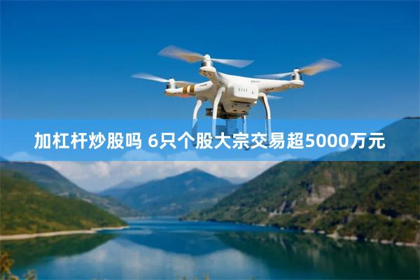 加杠杆炒股吗 6只个股大宗交易超5000万元